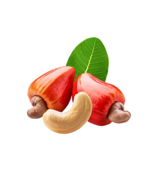 Premium Cashews